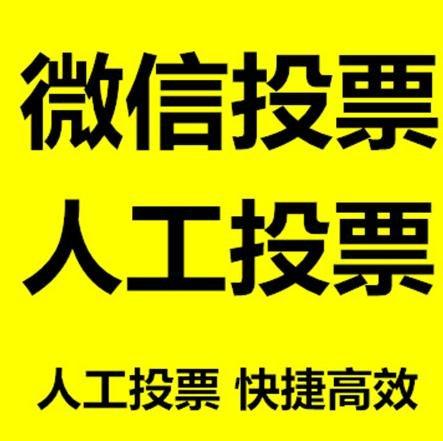 阳江市投票活动拉票能被查出来吗？如何操作能不被发现？